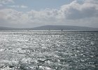 IMG 0281