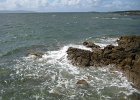 IMG 0287