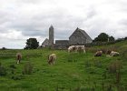 IMG 0342
