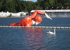 IMG 3195