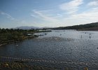 IMG 1740