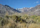 IMG 1942